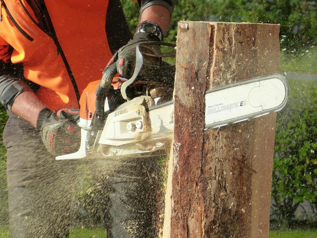 Chainsaw Safety